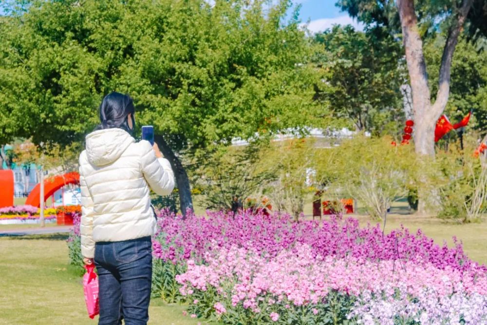 珠海赏花地图出炉春天最美的风景都在这里