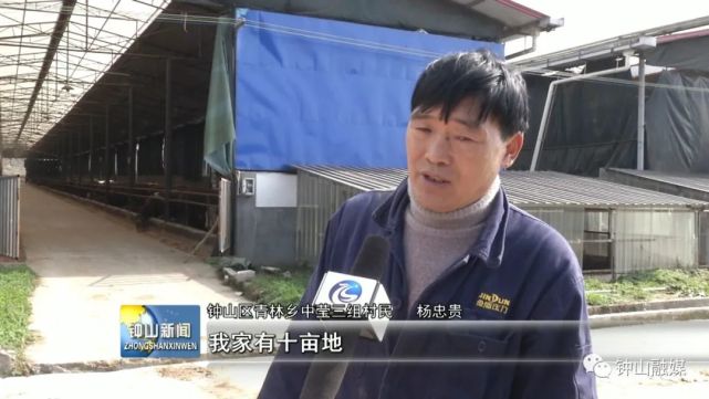 钟山区青林乡中莹三组村民杨忠贵:我家有十亩地,一亩地可以种4吨左右