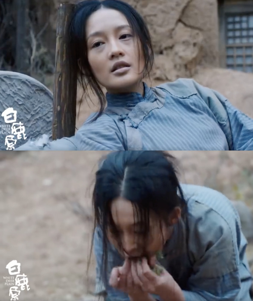 鸡腿仙子不好当李沁庆余年1天吞7只馊味鸡腿吃到吐白鹿原狼吞野草惹网