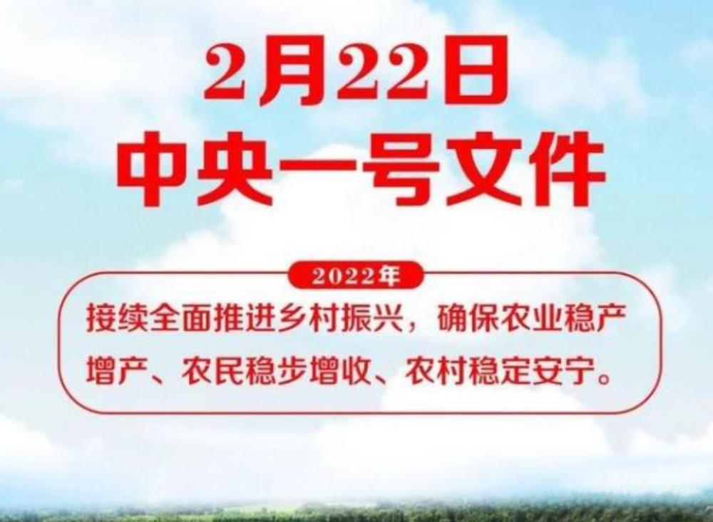 今年中央1号文件说了什么农村品牌电商成为要点