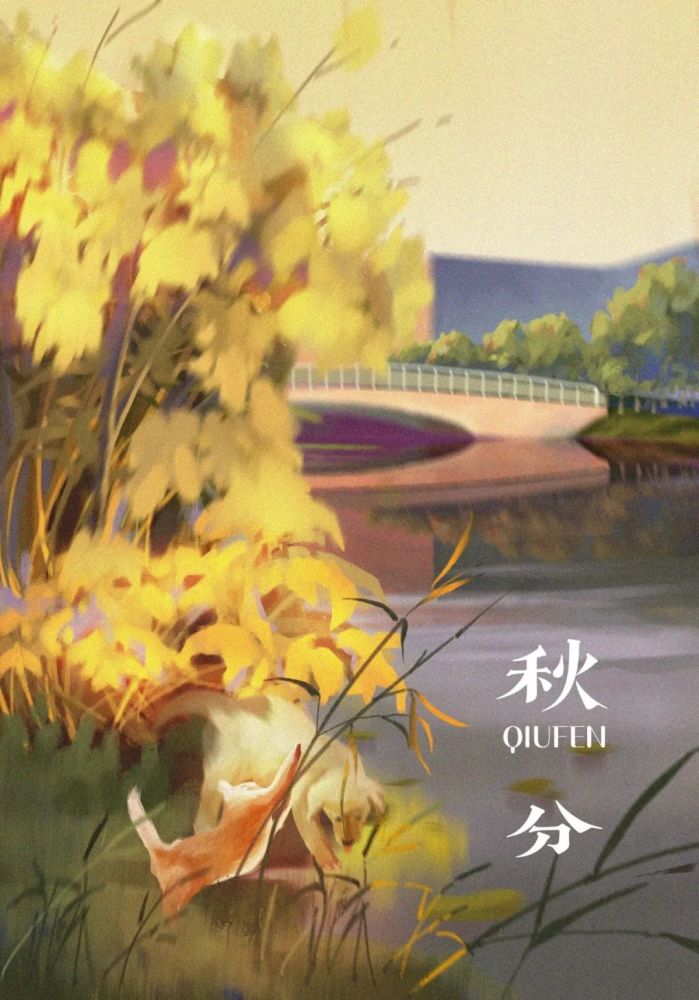 寒露玉露初凝昭示寒秋序幕寒露时分,气冷秋晚冬天的脚步声渐进别忘了