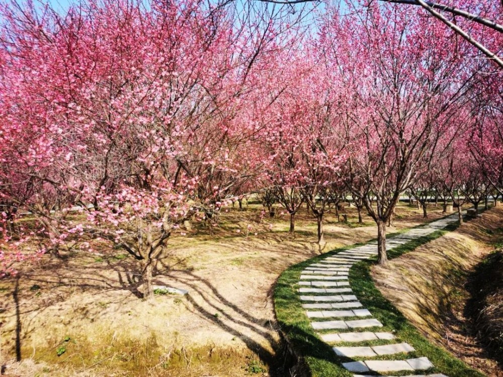 阳光明媚的周末荆州最高温可达18℃本周末的"主旋律"升温成了荆州天气