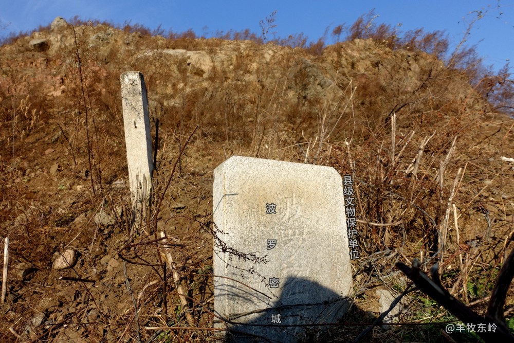 二龙戏珠捧山城网户遗址群