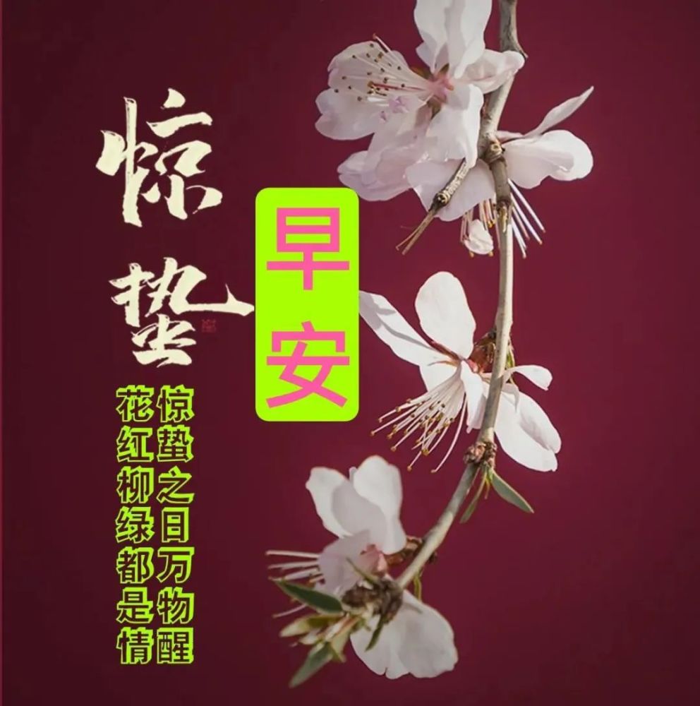 惊蛰早安问候祝福语惊蛰朋友圈问候祝福图片带字温馨