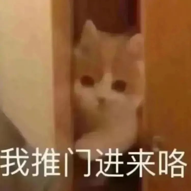 猫咪表情包你老婆走了吗