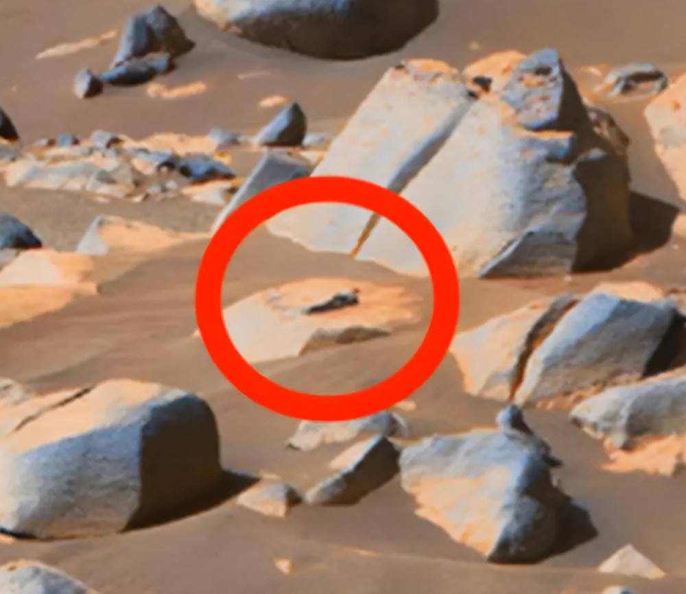 美知名ufo专家在nasa火星照片上发现外星人证据