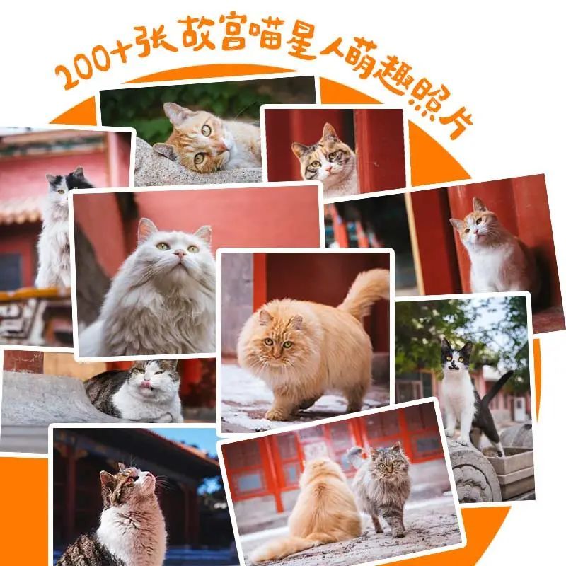 又是被故宫御猫治愈的一天呢