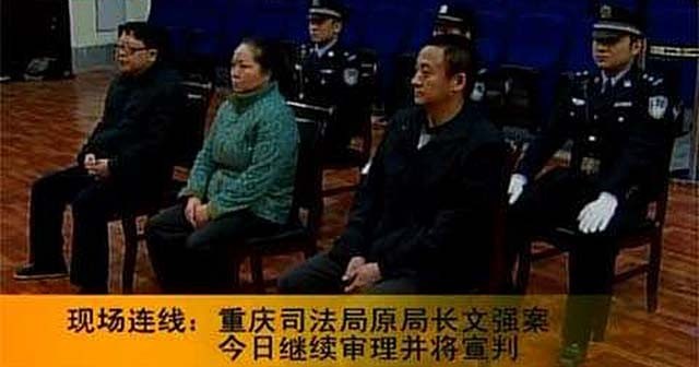 文强生命最后与儿子谈话10分钟注射死刑后就近火化