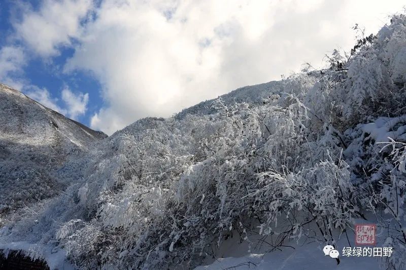 荥经泥巴山观残存的雪