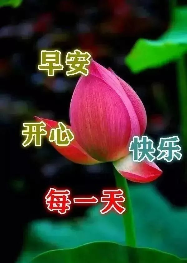 2022年2月27日星期天漂亮早上好问候动态表情图片带字