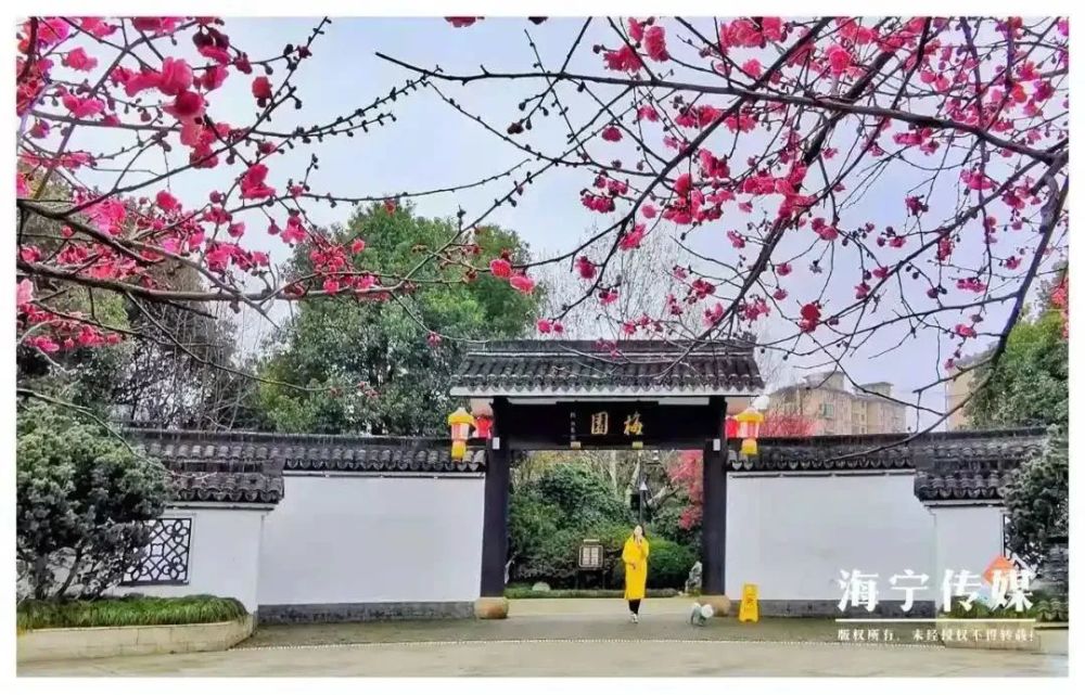 海宁有一个以"梅"命名的公园—梅园公园内有仿古建筑亭台楼阁配以