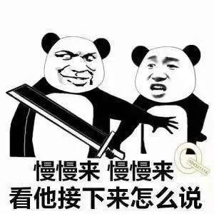 我家狗都两窝了你怎么还没对象