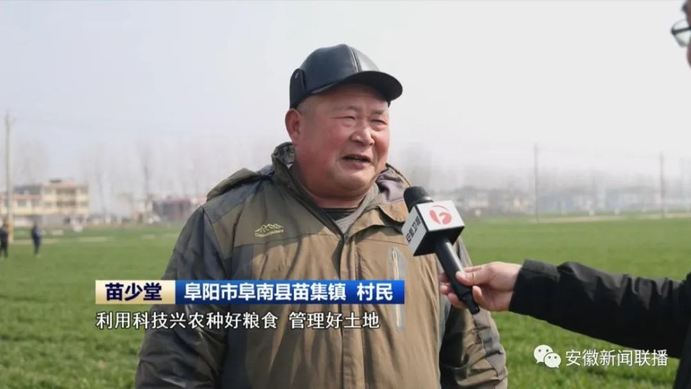 苗少堂曾经是苗集镇的一名贫困户,如今,借助现代科技手段和专业人才
