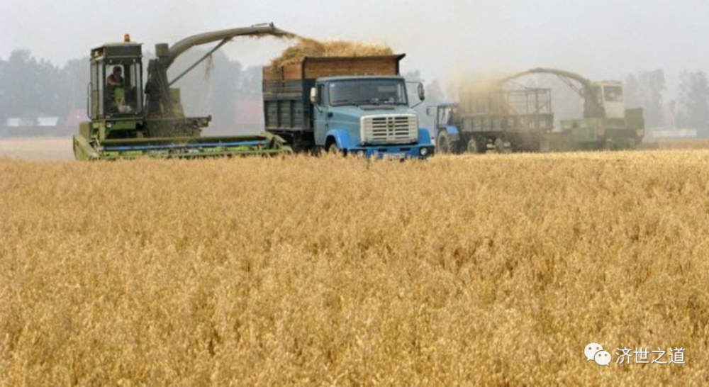 俄罗斯小麦堆积如山难出口_多少话儿难出口_小麦麸皮主要出口国家