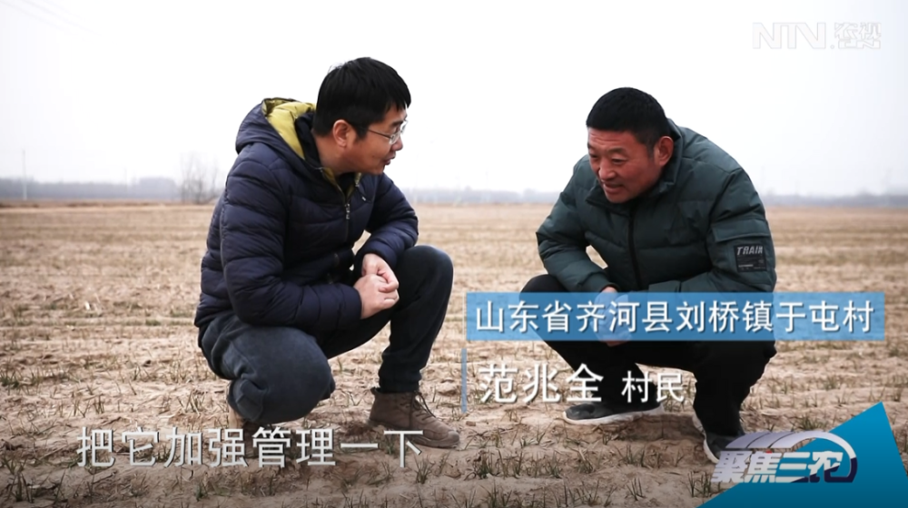山东省德州市齐河县刘桥镇于屯村村民 范兆全:按照现在的苗情,范兆全