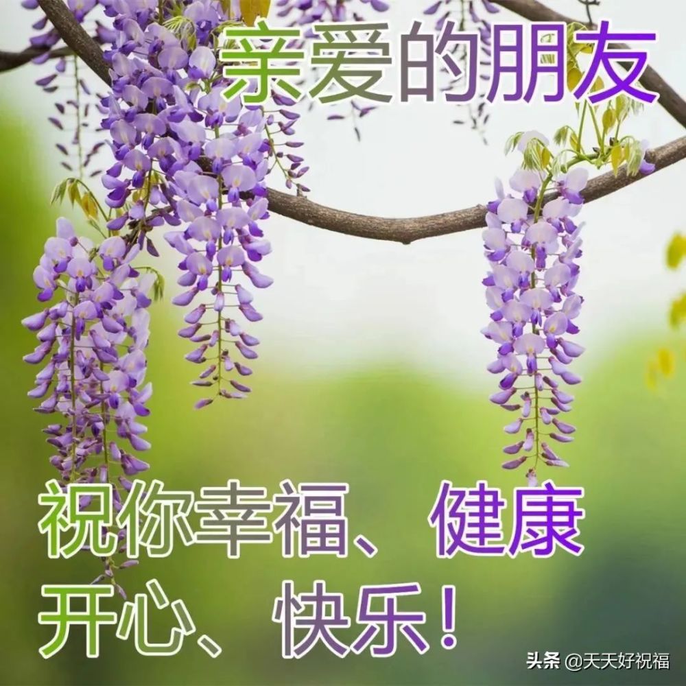 最美春天风景早上好图片带字带祝福语好看的早安问候图片带字精选