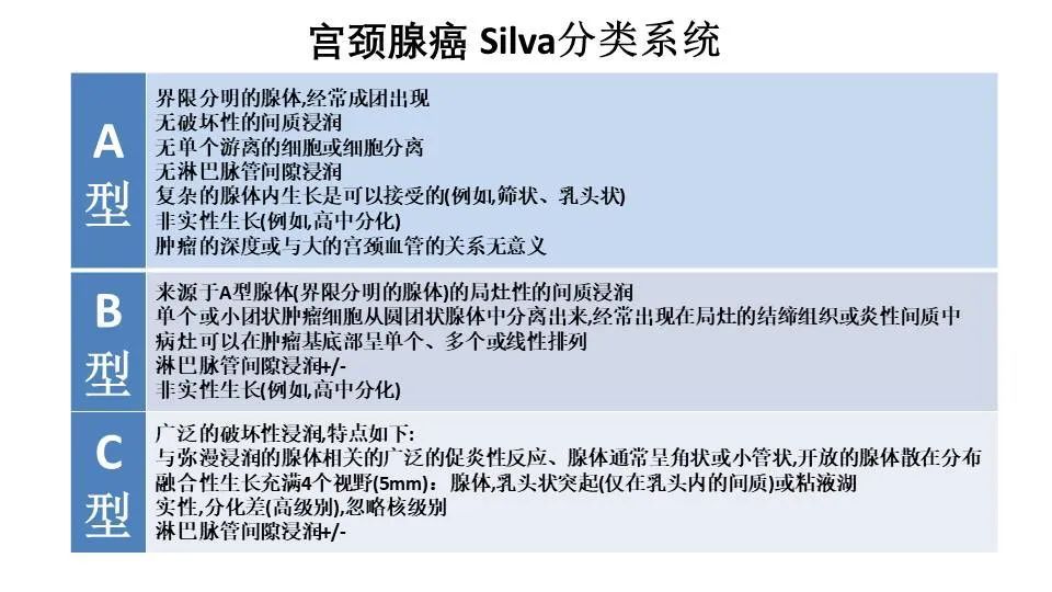 林仲秋教授宫颈癌新分期解读figonccn指南更新