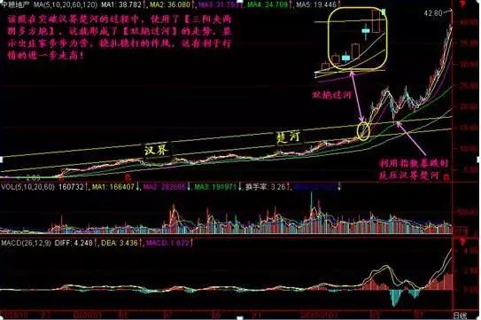 致16亿挣扎股民炒股是一种修行炒股养家的高手是如何