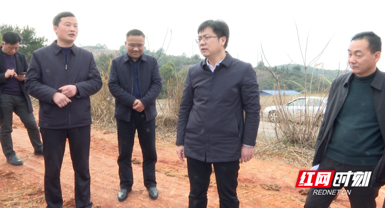 祁阳陈小平调研生活垃圾焚烧发电工程项目