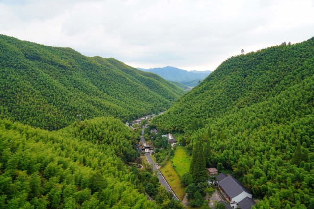 而提到竹笋,又不禁想到安吉的中国大竹海,春天漫山遍野的竹海在春风里