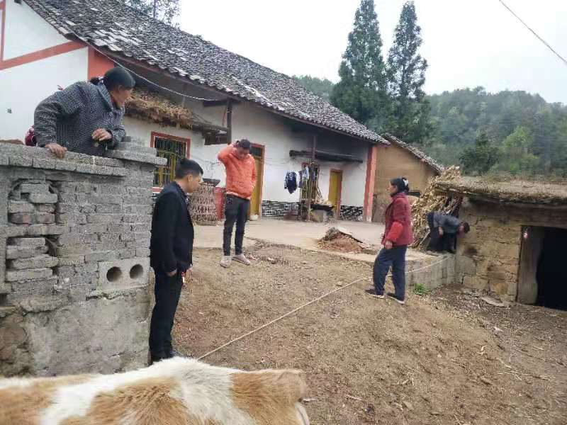 大走访结构乡大走访活动帮助亲兄弟化解多年积怨