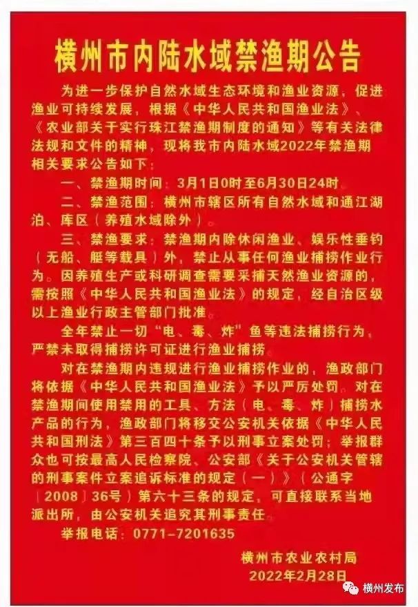 时长02:08说起这几年南宁市实施禁渔的好处,经常在邕江边垂钓的市民