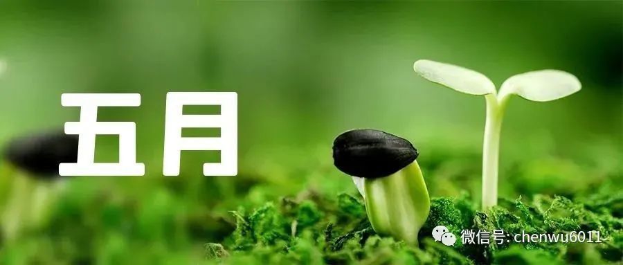 連城小說網手機版下載_獵人小說網免費閱讀_全本小說免費無彈窗在線閱讀