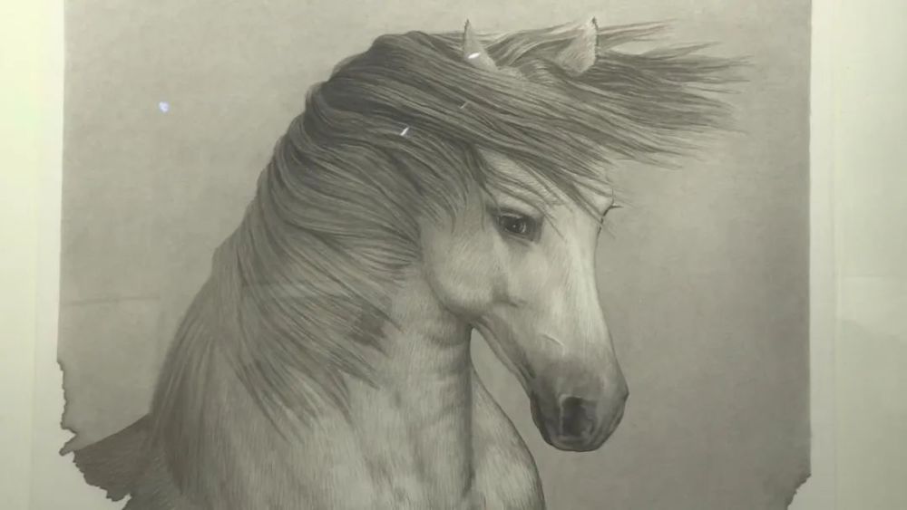 黄今工笔画马作品展在石家庄市博物馆举办