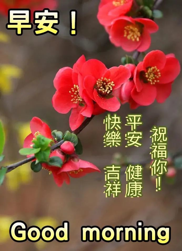 2022年3月11日清晨早上好问候祝福动态表情图片最新早安问候祝福图片