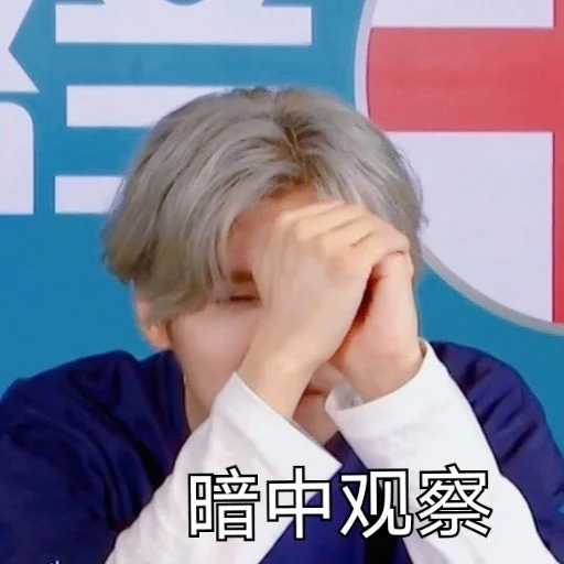 鹿晗表情包