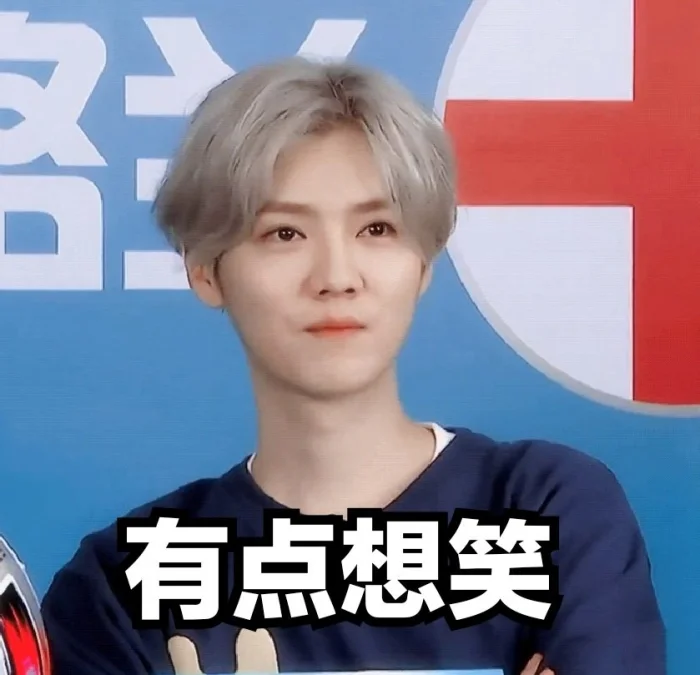 鹿晗表情包