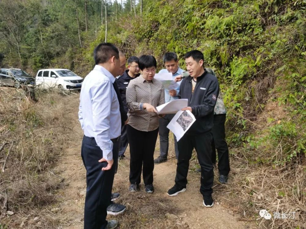 3月1日,长汀县委副书记,县长吕莉带队调研重点项目并现场办公.副县长