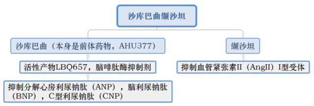 用好沙库巴曲缬沙坦你应该知道这5点