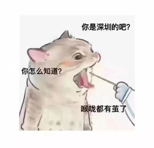 深圳只有一个区：“卖命区”_腾讯新闻