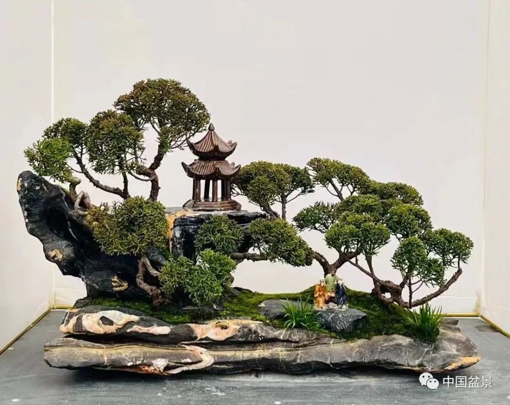 立体的山水画水旱盆景欣赏及制作