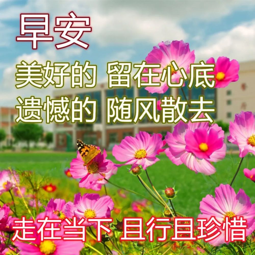 春天祝福常在的早上好问候图片每日送朋友同学的早安祝福