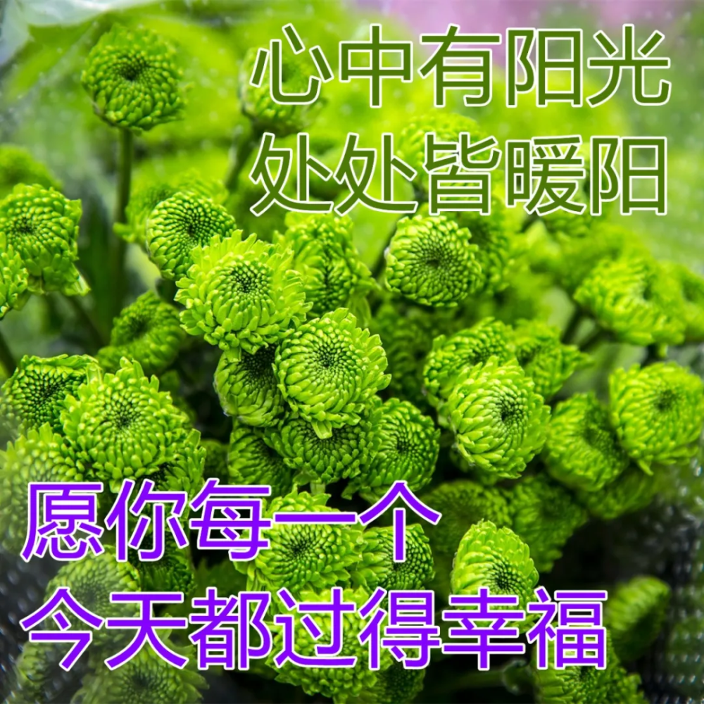 早安吉祥让我们在祝福中度过美好的每一天早安