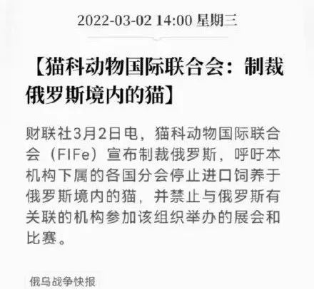 连俄罗斯的猫都被制裁了xx无国界的话真的还能相信吗