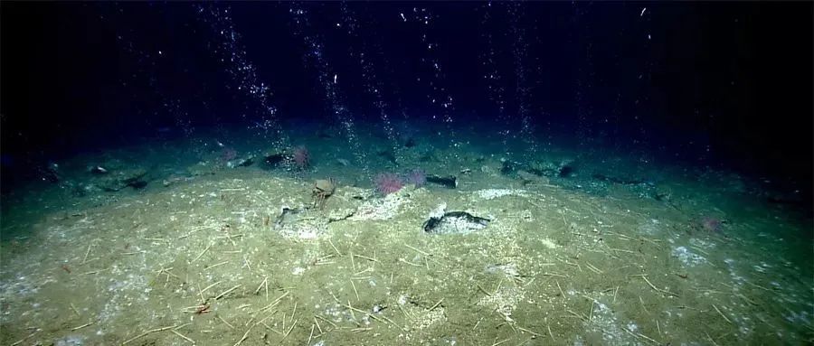 6-14岁必读的海洋知识|深海冷泉—海底的"沙漠绿洲"_腾讯新闻