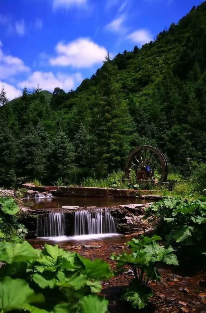 中国天然氧吧就在泾源这座山水之城