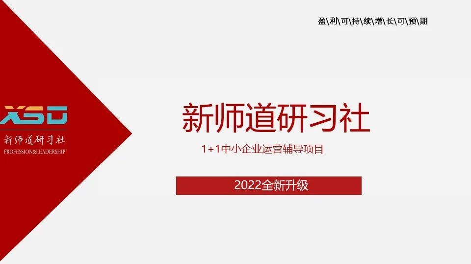 新师道研习社2022版11中小企业运营辅导项目