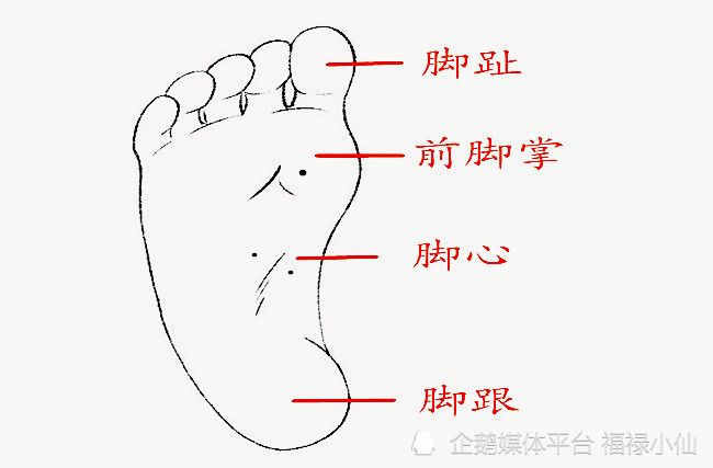 再细分来归结其准确度的话,足弓高和脚有痣,特别是以脚掌到脚心位置有