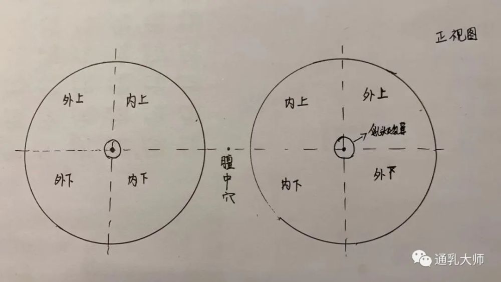 乳房象限的划分及不同位置的按摩技巧