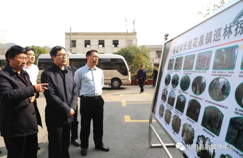 与会人员参观了崇阳县天城镇寺前村油茶造林基地,桂花林管局退化林