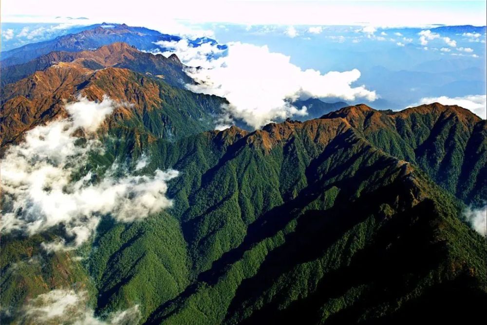 高黎贡山像一条巨龙自青藏高原逶迤南下,纵贯600余公里,跨过五个纬度