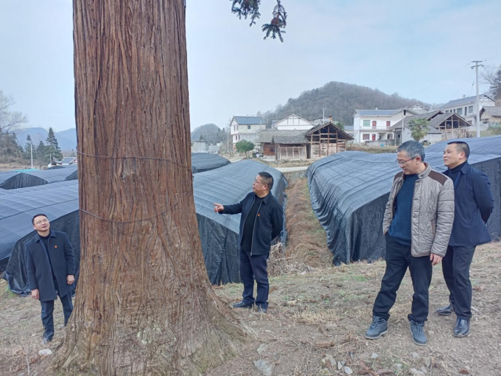 毕节市林业局党组书记局长喻祖常到雨冲乡调研指导新一轮退耕还林工程