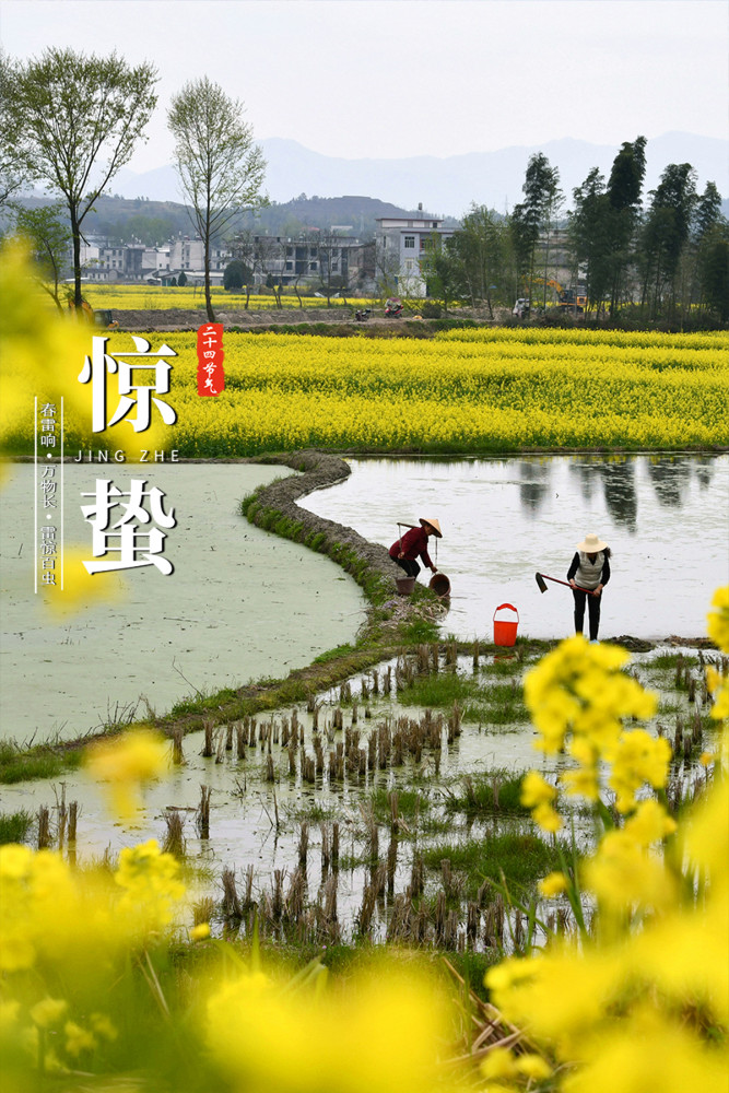 报节气微雨众卉新一雷惊蛰始