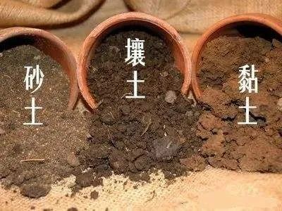 黏土的可塑下限含水率低于16,适耕的含水量范围小,宜耕期短;砂性土