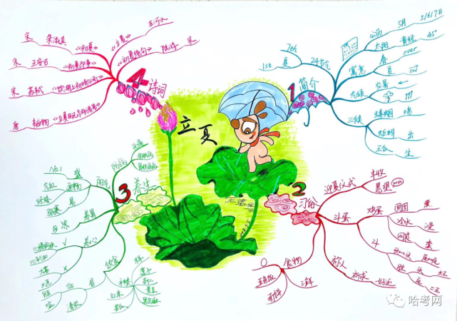 独家分享哈尔滨一线教师绘制的15张思维导图全是知识点