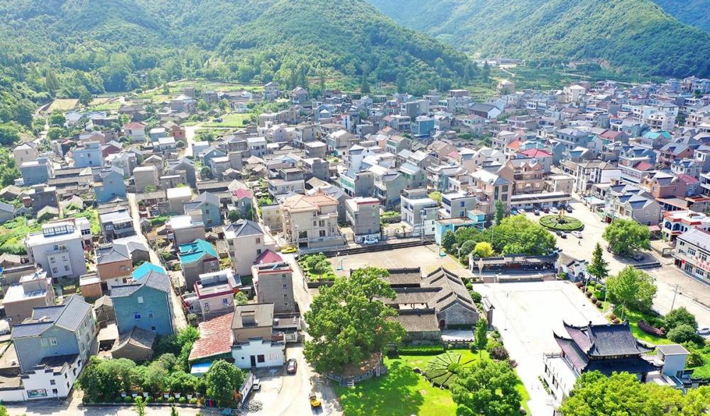 象山樟岙村灵芝谷千年古樟的树洞越来越小